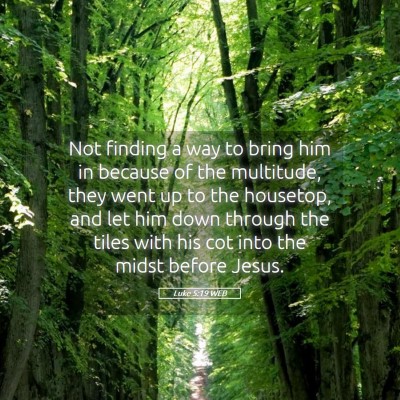 Picture 05 - Luke 5:19 WEB - Not finding a way to bring him in because of the - Bible Verse Picture