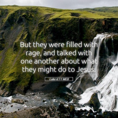Picture 05 - Luke 6:11 WEB - But they were filled with rage, and talked with - Bible Verse Picture