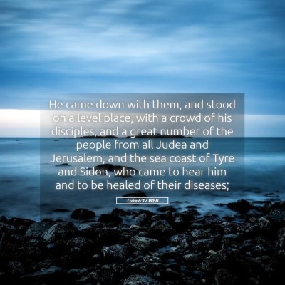 Picture 05 - Luke 6:17 WEB - He came down with them, and stood on a level - Bible Verse Picture