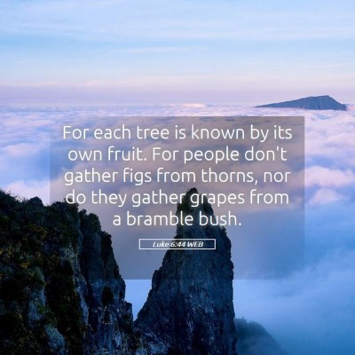 Picture 05 - Luke 6:44 WEB - For each tree is known by its own fruit. For - Bible Verse Picture