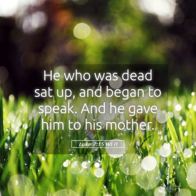 Picture 05 - Luke 7:15 WEB - He who was dead sat up, and began to speak. And - Bible Verse Picture