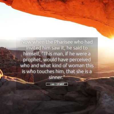 Picture 05 - Luke 7:39 WEB - Now when the Pharisee who had invited him saw it, - Bible Verse Picture
