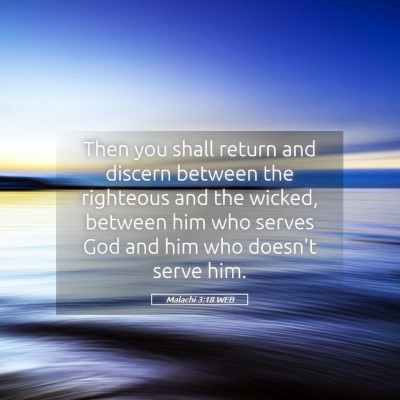 Picture 05 - Malachi 3:18 WEB - Then you shall return and discern between the - Bible Verse Picture