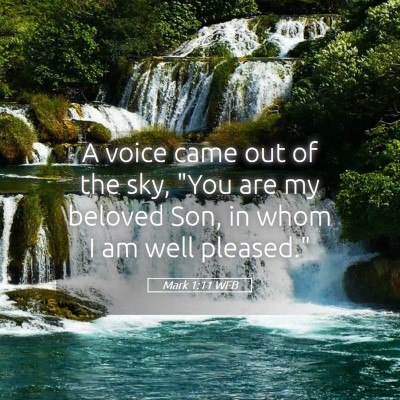 Picture 05 - Mark 1:11 WEB - A voice came out of the sky, 