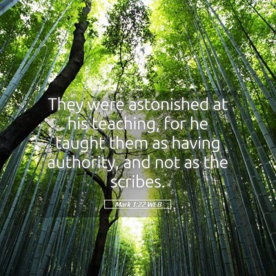 Picture 05 - Mark 1:22 WEB - They were astonished at his teaching, for he - Bible Verse Picture