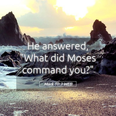 Picture 05 - Mark 10:3 WEB - He answered, 