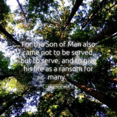 Picture 05 - Mark 10:45 WEB - For the Son of Man also came not to be served, - Bible Verse Picture