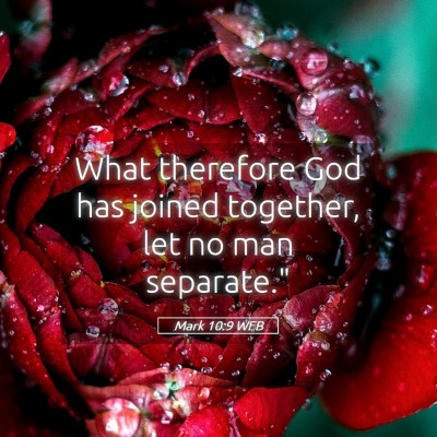 Picture 05 - Mark 10:9 WEB - What therefore God has joined together, let no - Bible Verse Picture