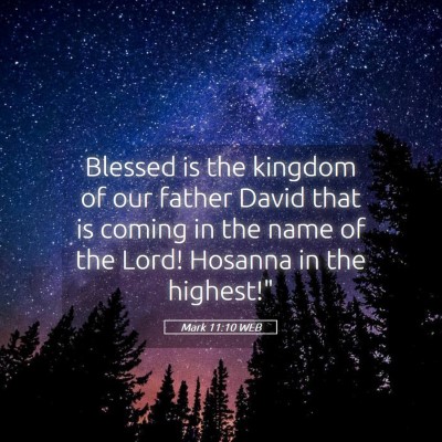 Picture 05 - Mark 11:10 WEB - Blessed is the kingdom of our father David that - Bible Verse Picture