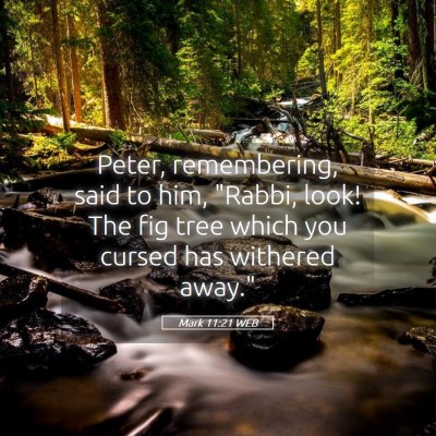 Picture 05 - Mark 11:21 WEB - Peter, remembering, said to him, 