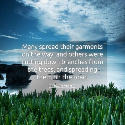 Picture 05 - Mark 11:8 WEB - Many spread their garments on the way, and others - Bible Verse Picture