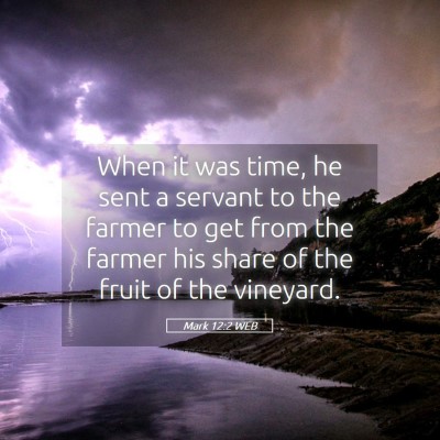 Picture 05 - Mark 12:2 WEB - When it was time, he sent a servant to the farmer - Bible Verse Picture