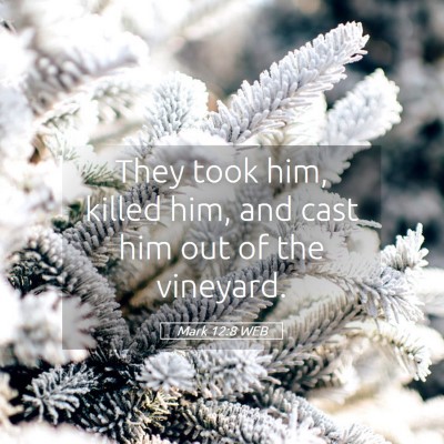 Picture 05 - Mark 12:8 WEB - They took him, killed him, and cast him out of - Bible Verse Picture