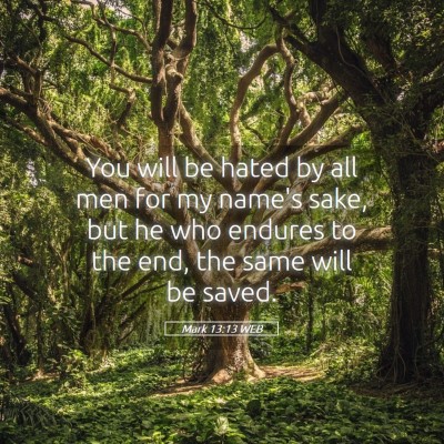 Picture 05 - Mark 13:13 WEB - You will be hated by all men for my name's sake, - Bible Verse Picture