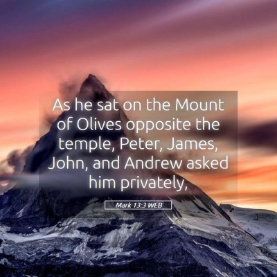 Picture 05 - Mark 13:3 WEB - As he sat on the Mount of Olives opposite the - Bible Verse Picture