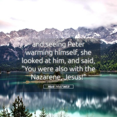 Picture 05 - Mark 14:67 WEB - and seeing Peter warming himself, she looked at - Bible Verse Picture