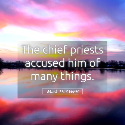 Picture 05 - Mark 15:3 WEB - The chief priests accused him of many - Bible Verse Picture