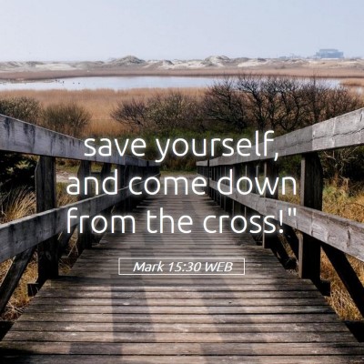 Picture 05 - Mark 15:30 WEB - save yourself, and come down from the - Bible Verse Picture