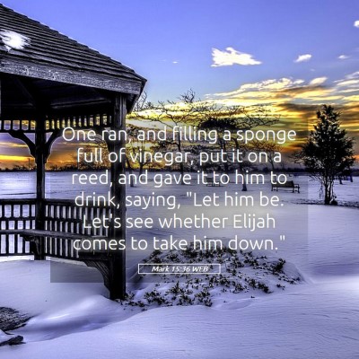 Picture 05 - Mark 15:36 WEB - One ran, and filling a sponge full of vinegar, - Bible Verse Picture