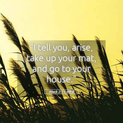 Picture 05 - Mark 2:11 WEB - 