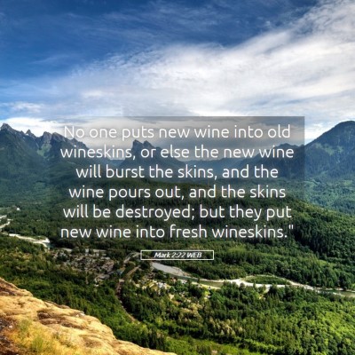 Picture 05 - Mark 2:22 WEB - No one puts new wine into old wineskins, or else - Bible Verse Picture