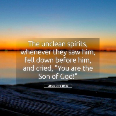 Picture 05 - Mark 3:11 WEB - The unclean spirits, whenever they saw him, fell - Bible Verse Picture