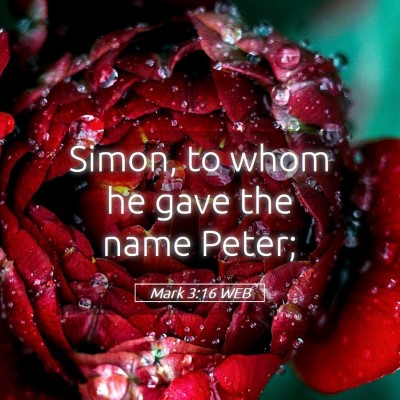 Picture 05 - Mark 3:16 WEB - Simon, to whom he gave the name - Bible Verse Picture