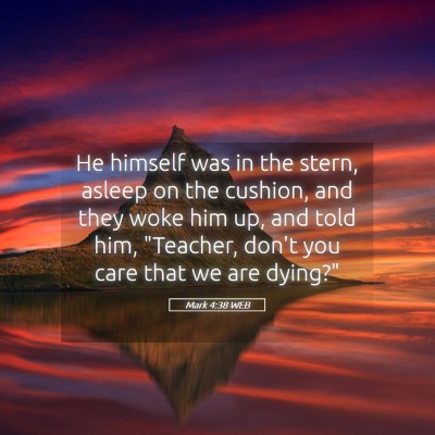 Picture 05 - Mark 4:38 WEB - He himself was in the stern, asleep on the - Bible Verse Picture