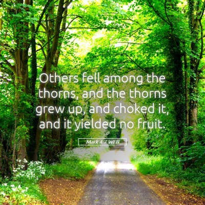 Picture 05 - Mark 4:7 WEB - Others fell among the thorns, and the thorns grew - Bible Verse Picture