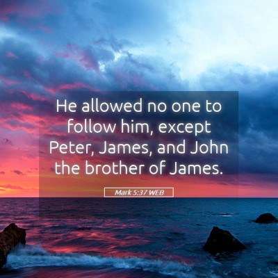 Picture 05 - Mark 5:37 WEB - He allowed no one to follow him, except Peter, - Bible Verse Picture