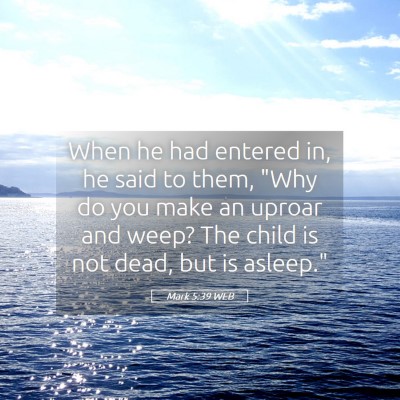Picture 05 - Mark 5:39 WEB - When he had entered in, he said to them, 