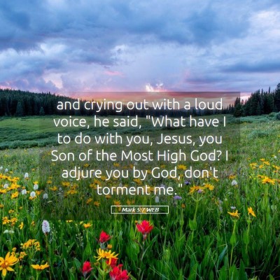 Picture 05 - Mark 5:7 WEB - and crying out with a loud voice, he said, 