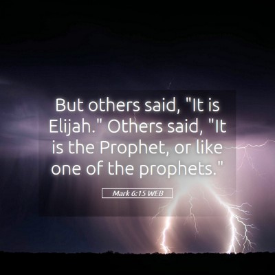 Picture 05 - Mark 6:15 WEB - But others said, 