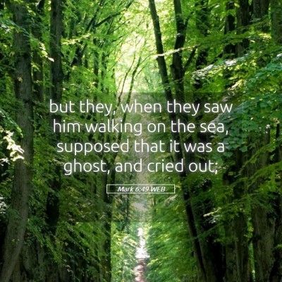 Picture 05 - Mark 6:49 WEB - but they, when they saw him walking on the sea, - Bible Verse Picture