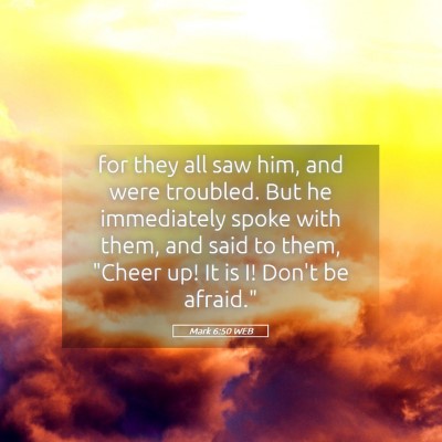 Picture 05 - Mark 6:50 WEB - for they all saw him, and were troubled. But he - Bible Verse Picture