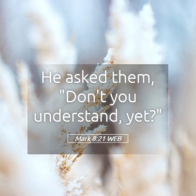 Picture 05 - Mark 8:21 WEB - He asked them, 