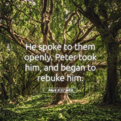 Picture 05 - Mark 8:32 WEB - He spoke to them openly. Peter took him, and - Bible Verse Picture