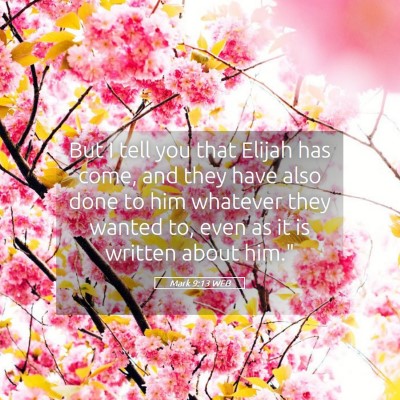 Picture 05 - Mark 9:13 WEB - But I tell you that Elijah has come, and they - Bible Verse Picture