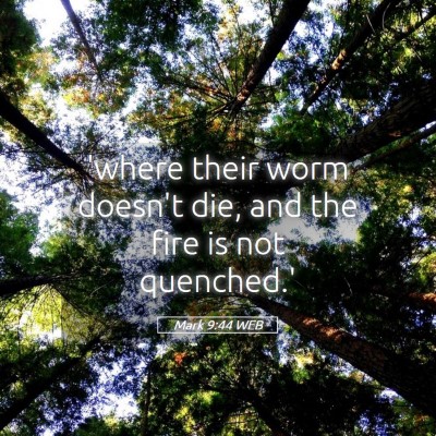 Picture 05 - Mark 9:44 WEB - 'where their worm doesn't die, and the fire is - Bible Verse Picture