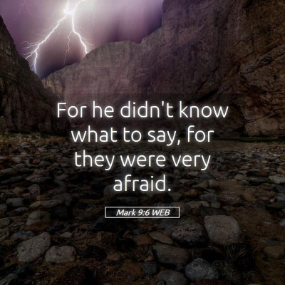 Picture 05 - Mark 9:6 WEB - For he didn't know what to say, for they were - Bible Verse Picture