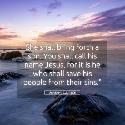 Picture 05 - Matthew 1:21 WEB - She shall bring forth a son. You shall call his - Bible Verse Picture