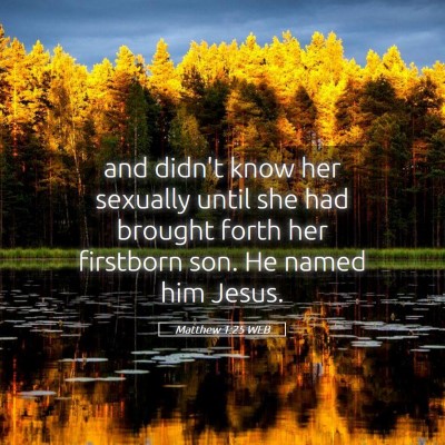 Picture 05 - Matthew 1:25 WEB - and didn't know her sexually until she had - Bible Verse Picture