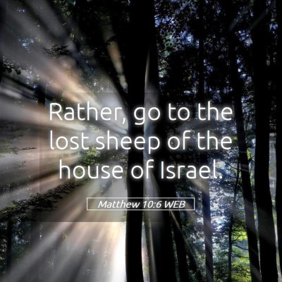 Picture 05 - Matthew 10:6 WEB - Rather, go to the lost sheep of the house of - Bible Verse Picture