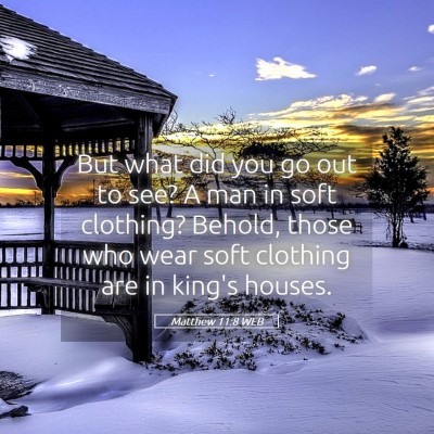 Picture 05 - Matthew 11:8 WEB - But what did you go out to see? A man in soft - Bible Verse Picture