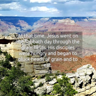 Picture 05 - Matthew 12:1 WEB - At that time, Jesus went on the Sabbath day - Bible Verse Picture