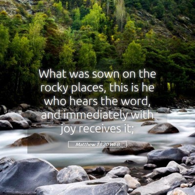 Picture 05 - Matthew 13:20 WEB - What was sown on the rocky places, this is he who - Bible Verse Picture