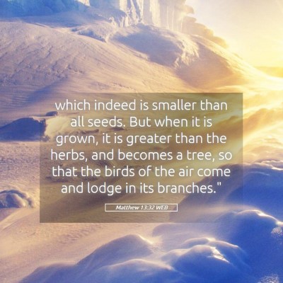 Picture 05 - Matthew 13:32 WEB - which indeed is smaller than all seeds. But when - Bible Verse Picture