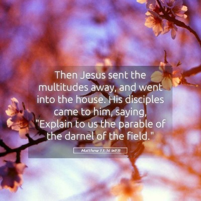 Picture 05 - Matthew 13:36 WEB - Then Jesus sent the multitudes away, and went - Bible Verse Picture