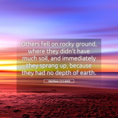 Picture 05 - Matthew 13:5 WEB - Others fell on rocky ground, where they didn't - Bible Verse Picture