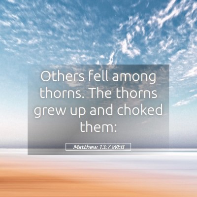Picture 05 - Matthew 13:7 WEB - Others fell among thorns. The thorns grew up and - Bible Verse Picture
